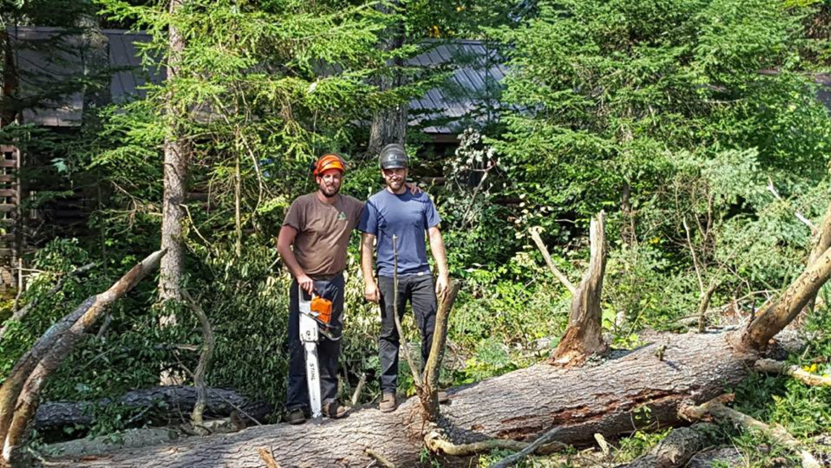 Arborists cutting fallen tree and storm cleanup in Coxsackie NY wooded area