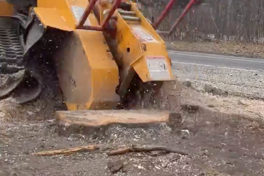 Stump Grinding photo for Powell's Tree Care Inc.