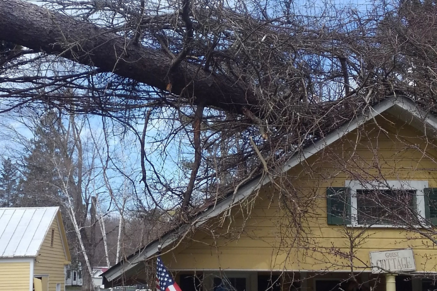 Emergency work photo for Powell's Tree Care Inc.