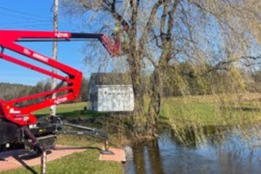 Arborist performing tree trimming service near pond in Greene County NY