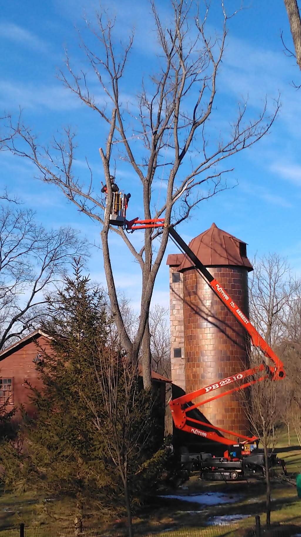 Tree trimming and pruning service clearing branches near home