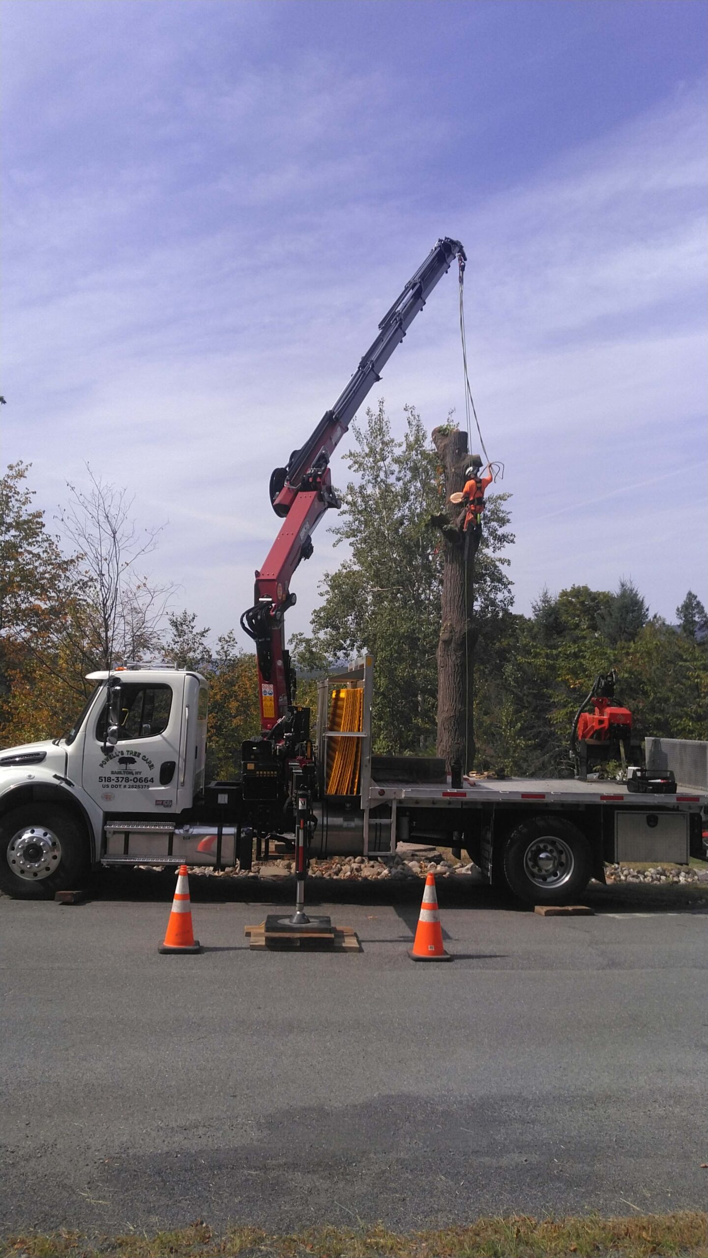 Professional tree removal using crane and bucket truck in Greene County NY
