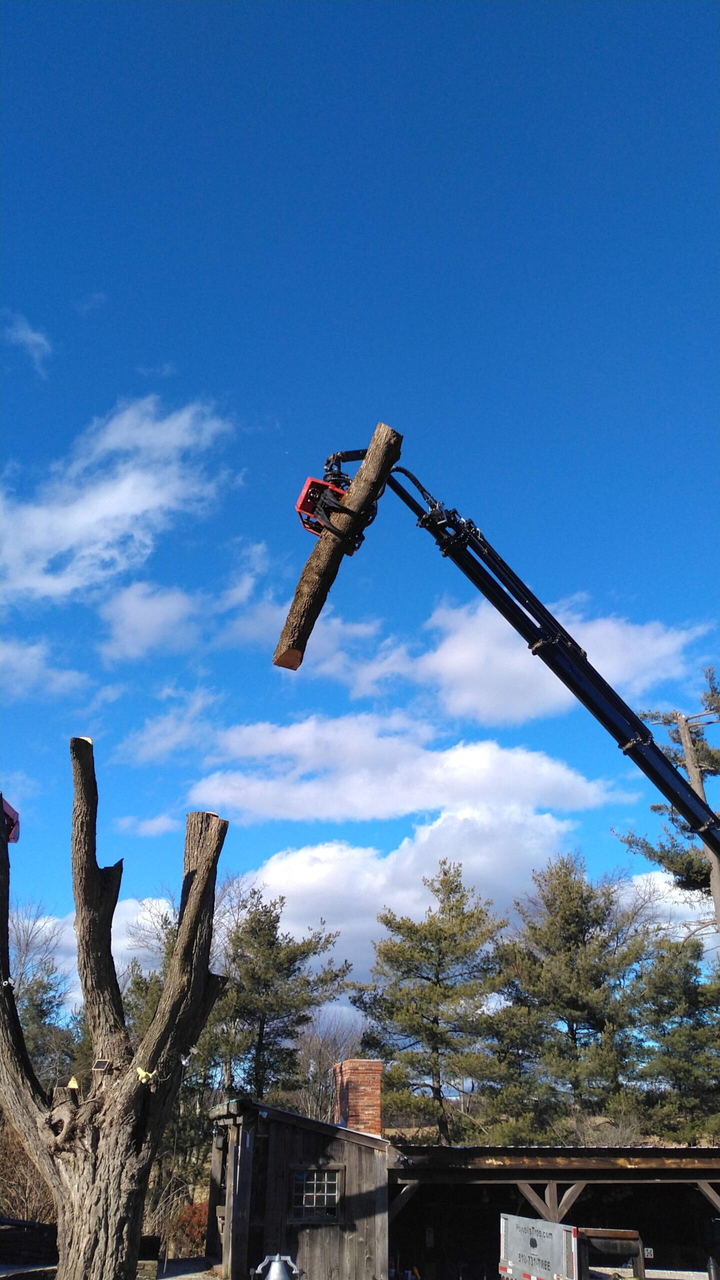 Tree removal crew lifting large tree section with crane in Greene County NY