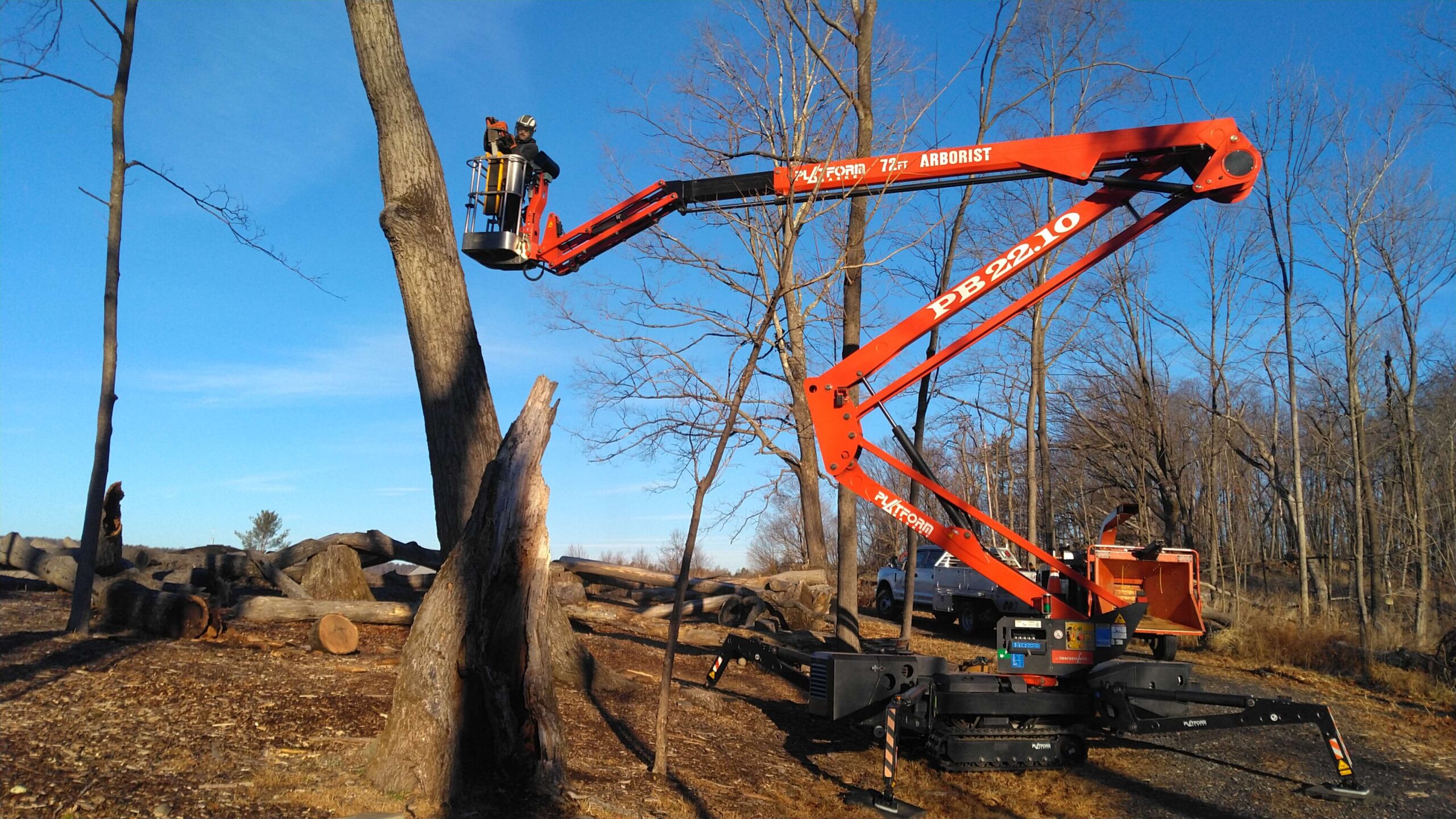 Tree removal service using crane on wooded property in Windham NY
