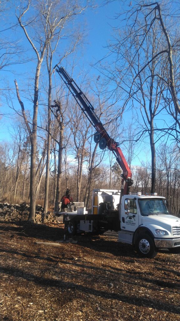 Arborist performing tree removal with crane in wooded area in Greene County NY
